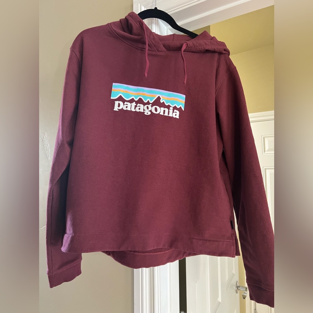 Patagonia hooded sweatshirt
